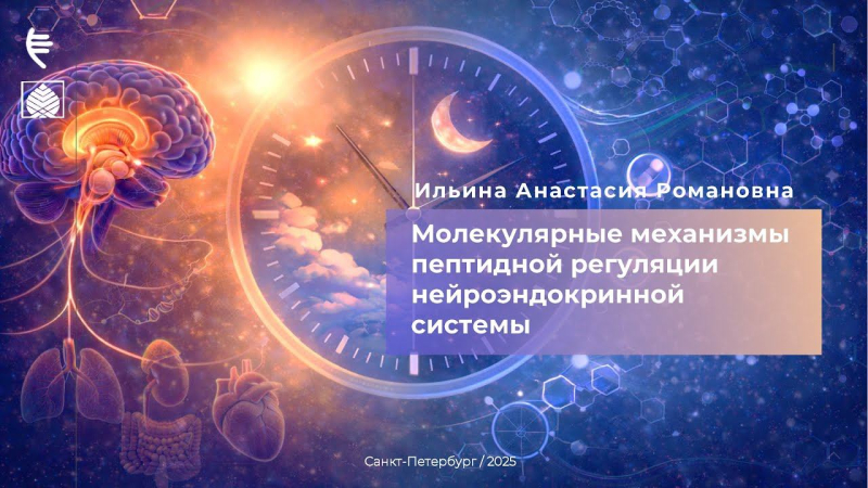 Молекулярные механизмы пептидной регуляции нейроэндокринной системы