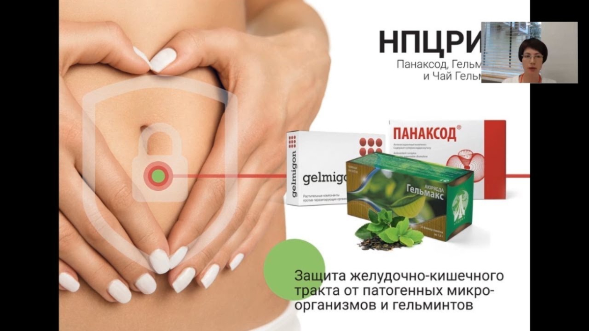 Панаксод