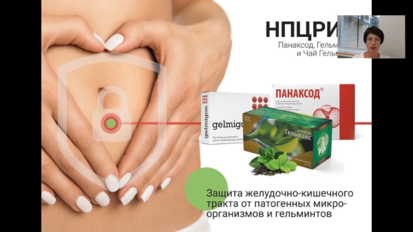 Панаксод